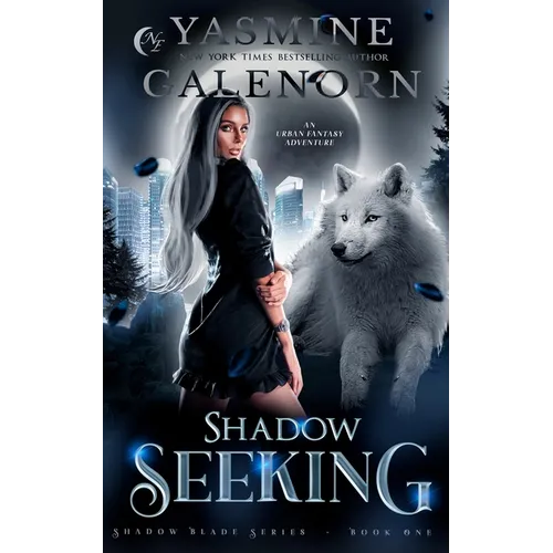 Shadow Seeking: An Urban Fantasy Adventure - Paperback