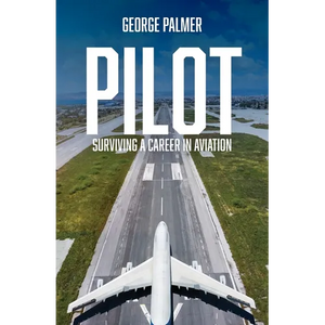 Pilot: Surviving a career in aviation - Paperback