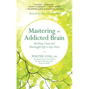 Mastering the Addicted Brain: Building a Sane and Meaningful Life to Stay Clean - Paperback