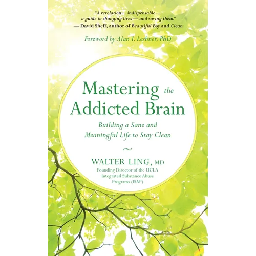 Mastering the Addicted Brain: Building a Sane and Meaningful Life to Stay Clean - Paperback