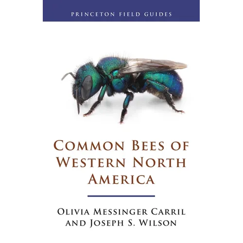 Common Bees of Western North America - Paperback