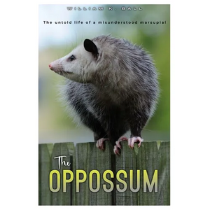 The Oppossum: The Untold Life of a Misunderstood Marsupial - Paperback