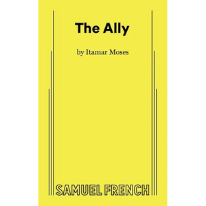 The Ally - Paperback