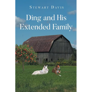 Ding and His Extended Family - Paperback