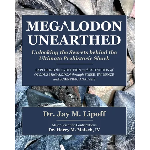 Megalodon Unearthed - Paperback