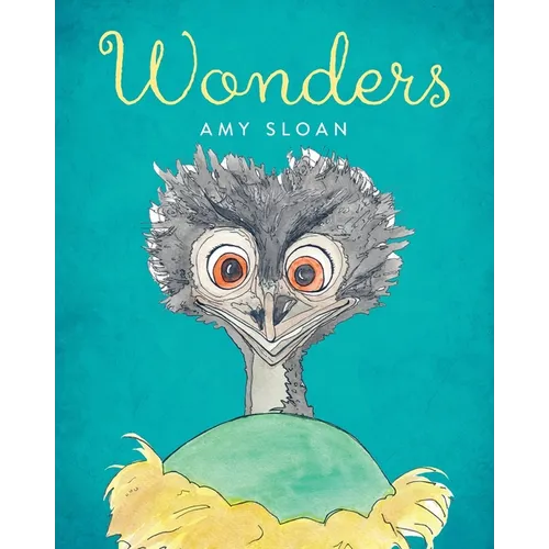 Wonders - Paperback