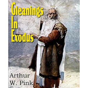 Gleanings in Exodus - Paperback