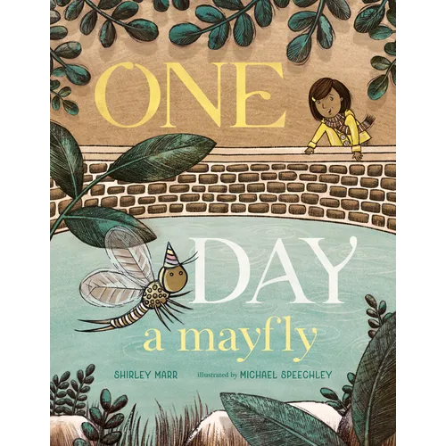 One Day a Mayfly - Hardcover