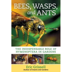 Bees, Wasps, and Ants: The Indispensable Role of Hymenoptera in Gardens - Paperback