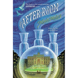 The After-Room - Paperback