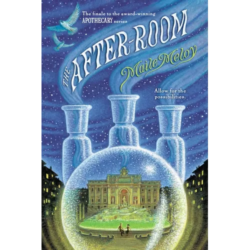 The After-Room - Paperback