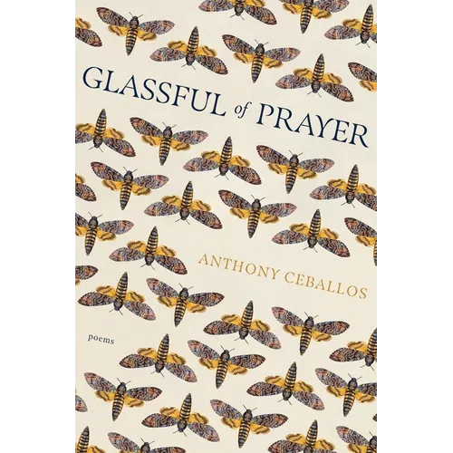 Glassful of Prayer - Paperback