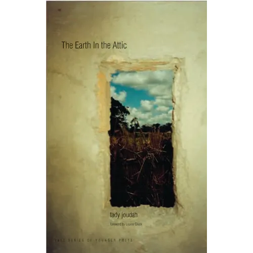Earth in the Attic - Paperback