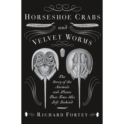 Horseshoe Crabs and Velvet Worms: The Story of the Animals and Plants That Time Has Left Behind - Paperback