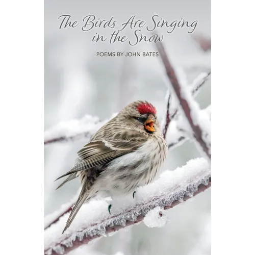 The Birds Are Singing In The Snow - Paperback