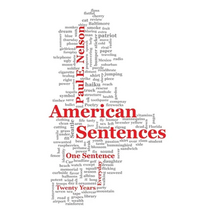 American Sentences: One Sentence, Every Day, Twenty Years - Paperback