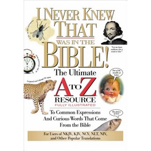 The I Never Knew That Was in the Bible: The Ultimate A to Z(r) Resource Series - Paperback
