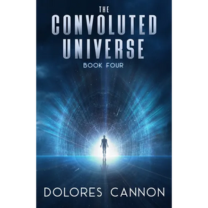 The Convoluted Universe: Book Four - Paperback