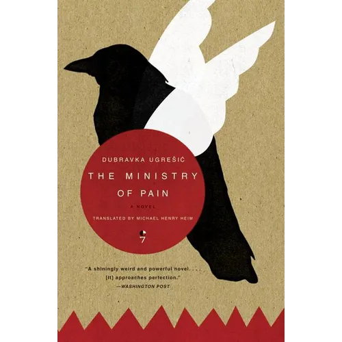 The Ministry of Pain - Paperback