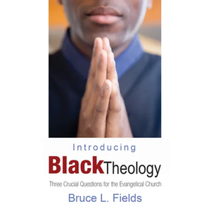 Introducing Black Theology - Hardcover