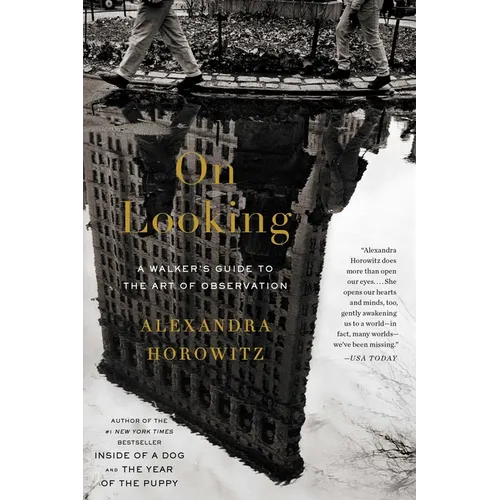 On Looking: A Walker's Guide to the Art of Observation - Paperback