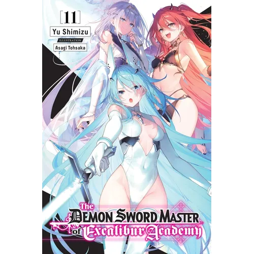 The Demon Sword Master of Excalibur Academy, Vol. 11 (Light Novel): Volume 11 - Paperback