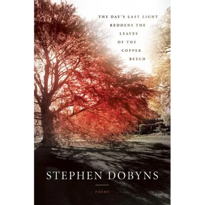 The Day's Last Light Reddens the Leaves of the Copper Beech - Paperback