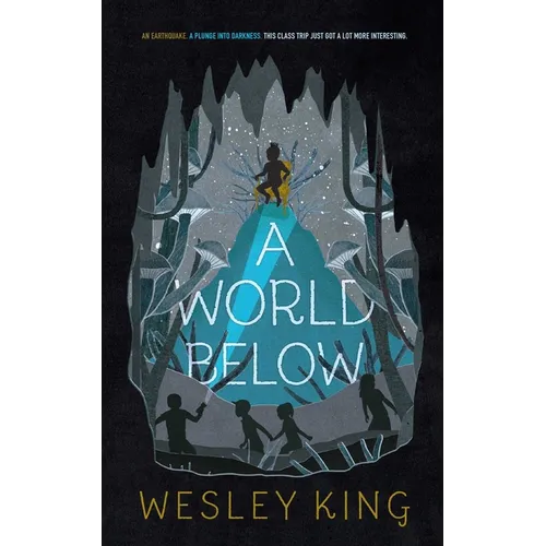 A World Below - Paperback
