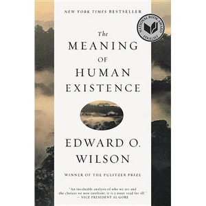 The Meaning of Human Existence - Paperback