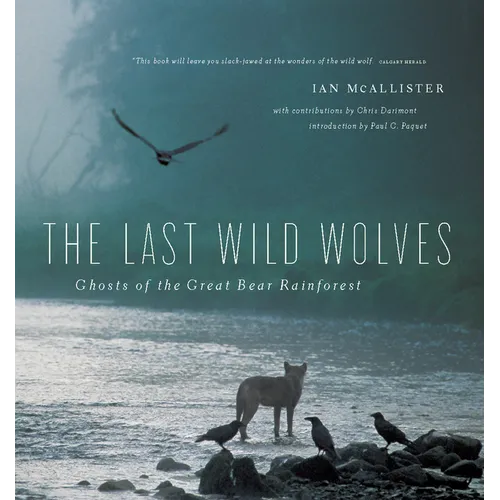 The Last Wild Wolves: Ghosts of the Rain Forest - Paperback