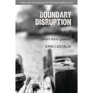 Boundary Disruption - Paperback