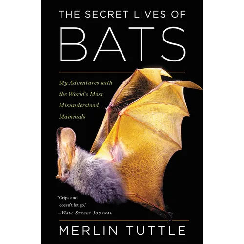 The Secret Lives of Bats: My Adventures with the World's Most Misunderstood Mammals - Paperback