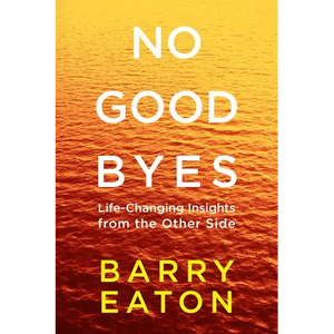 No Goodbyes: No Goodbyes: Life-Changing Insights from the Other Side - Paperback