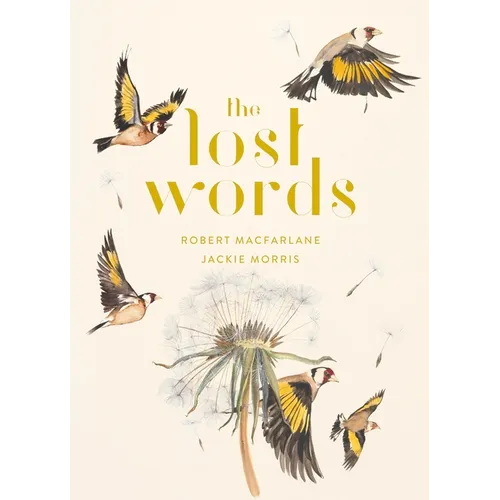 The Lost Words - Hardcover