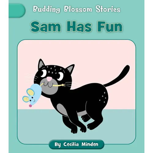 Sam Has Fun - Paperback