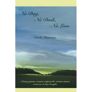 No Day, No Dusk, No Love - Paperback