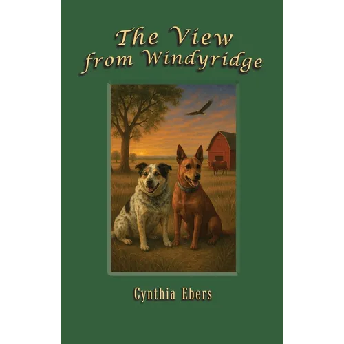 The View from Windyridge - Paperback