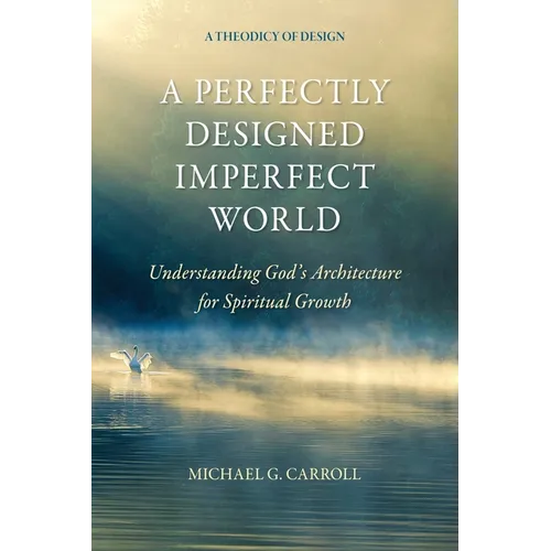 A Perfectly Designed Imperfect World: Understanding God's Architecture for Spiritual Growth - Paperback