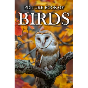Birds: Picture Books For Adults With Dementia And Alzheimers Patients - Colourful Photos Of Birds With Their Names - Paperback