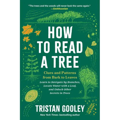 How to Read a Tree: Clues and Patterns from Bark to Leaves - Paperback
