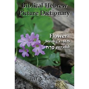 Biblical Hebrew Picture Dictionary - Paperback