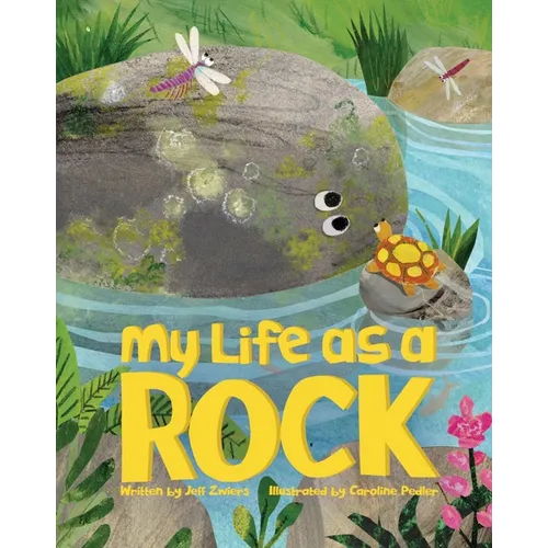 My Life as a Rock - Hardcover