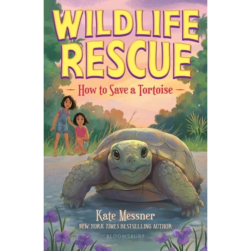 How to Save a Tortoise - Paperback