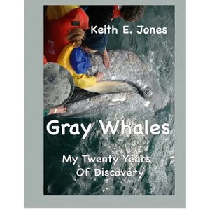 Gray Whales My Twenty Years Of Discovery - Paperback