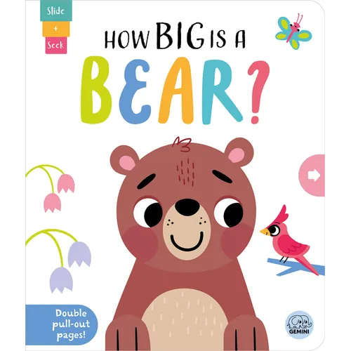 How Big Is a Bear? - Board Book