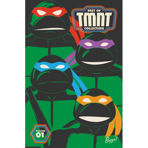 Best of Teenage Mutant Ninja Turtles Collection, Vol. 1 - Paperback