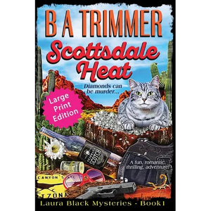 Scottsdale Heat LARGE PRINT EDITION: a fun, romantic, thrilling, adventure... - Paperback