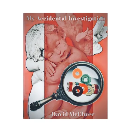 My Accidental Investigation - Paperback