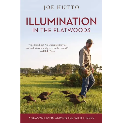 Illumination in the Flatwoods: A Season Living Among the Wild Turkey - Paperback