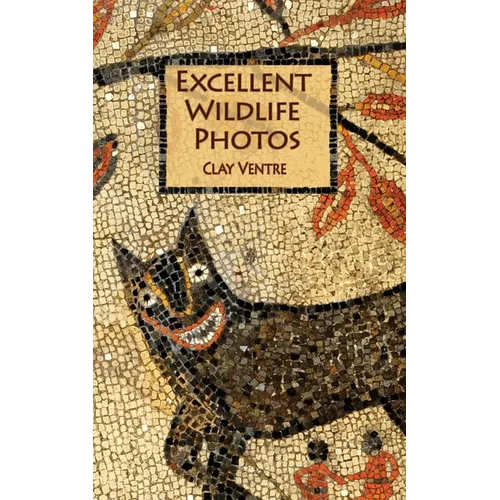 Excellent Wildlife Photos - Paperback